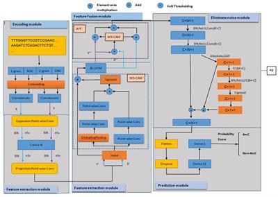 DRSN4mCPred: accurately predicting sites of DNA N4-methylcytosine using deep residual shrinkage network for diagnosis and treatment of gastrointestinal cancer in the precision medicine era